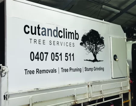 Cut and Climb<br/>Tree Services